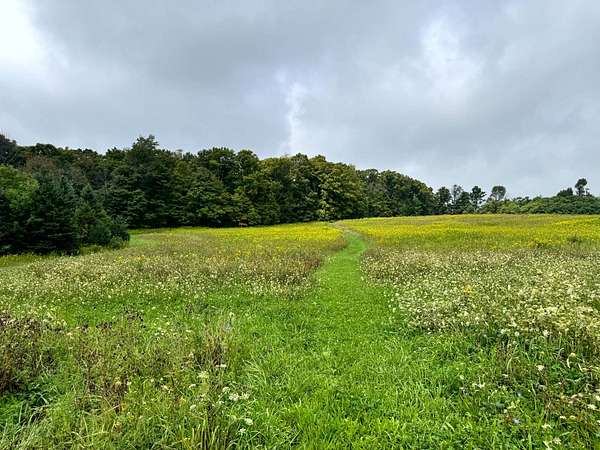 7 Acres of Residential Land for Sale in Richford, New York