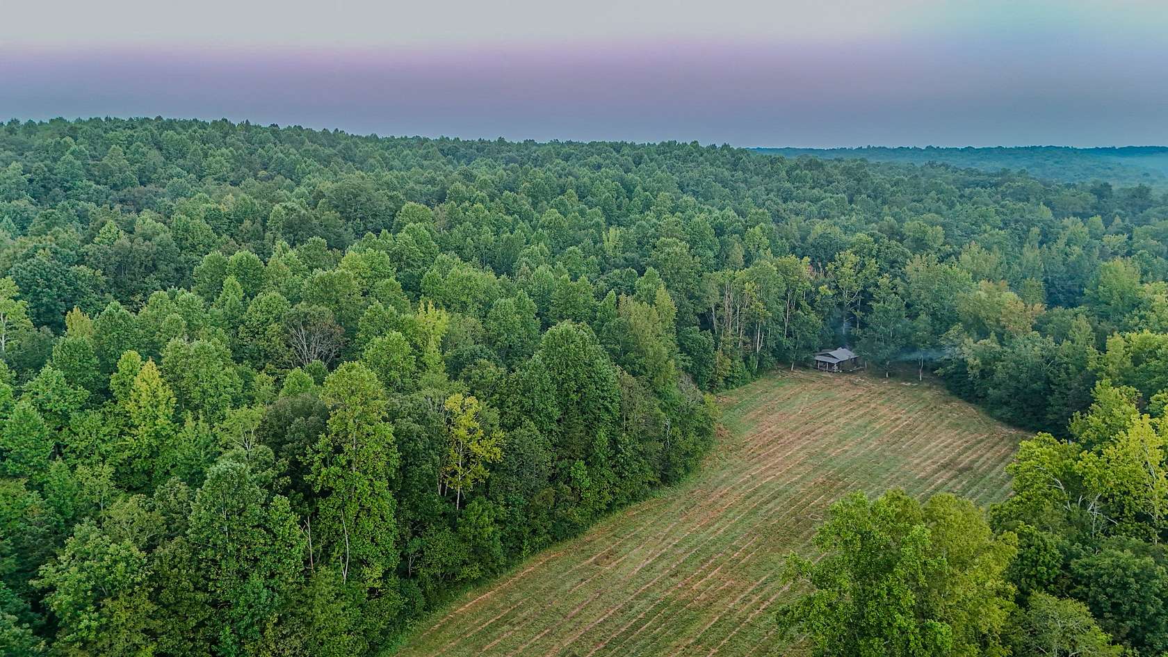 81.7 Acres of Land for Sale in Lynnville, Tennessee