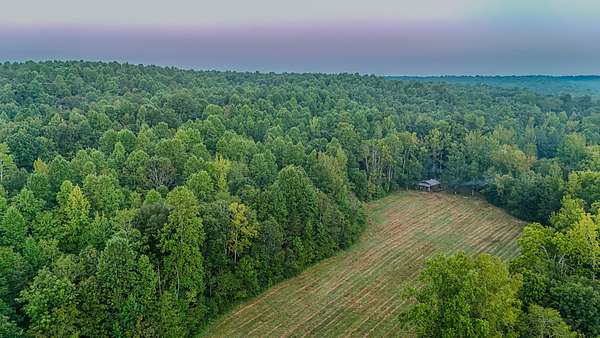 81.7 Acres of Land for Sale in Lynnville, Tennessee