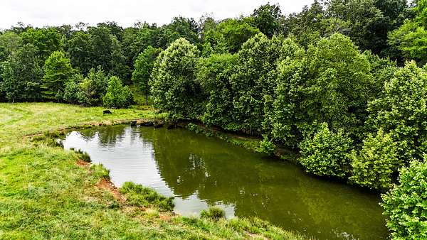 70 Acres of Land for Sale in Lutts, Tennessee