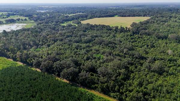 44.3 Acres of Recreational & Residential Land for Sale in Monticello, Florida