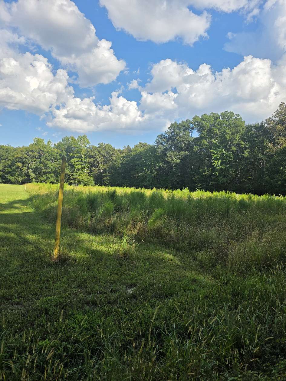 13.6 Acres of Land for Sale in Taft, Tennessee