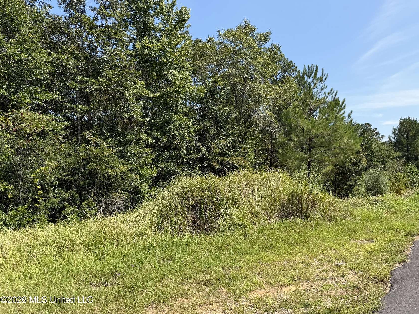 3.7 Acres of Land for Sale in Lucedale, Mississippi