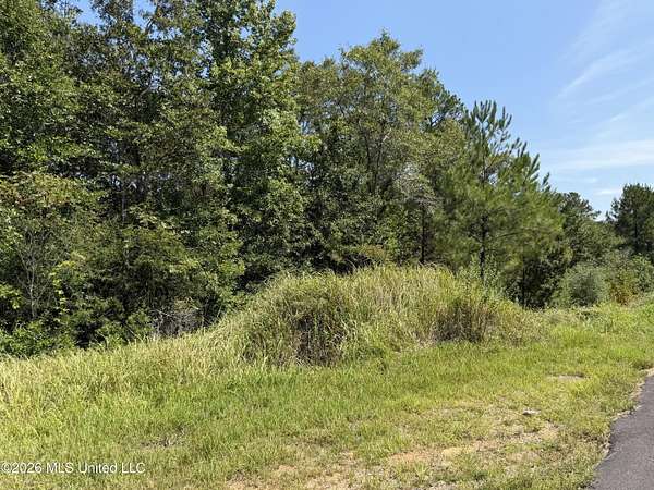 3.7 Acres of Land for Sale in Lucedale, Mississippi