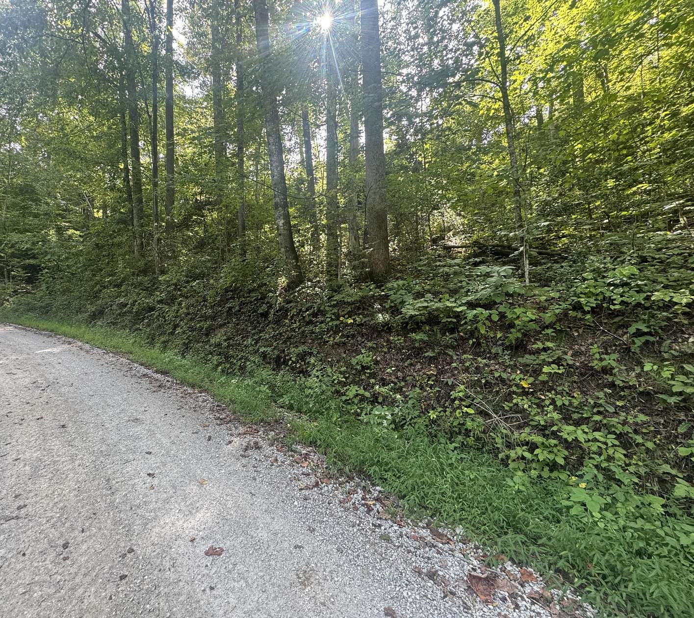25.5 Acres of Land for Sale in London, Kentucky