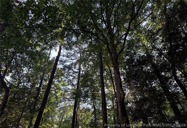 0.21 Acres of Residential Land for Sale in Sanford, North Carolina