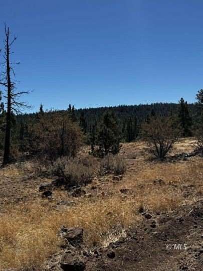 1 Acre of Residential Land for Sale in Alturas, California