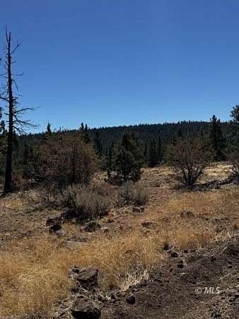 1 Acre of Residential Land for Sale in Alturas, California