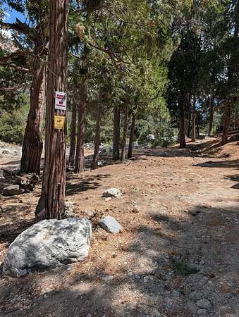 0.58 Acres of Residential Land for Sale in Forest Falls, California
