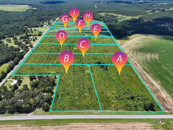 10 Acres of Residential Land for Sale in DeFuniak Springs, Florida