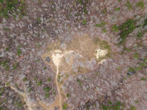 20 Acres of Land for Sale in Alexander, Arkansas