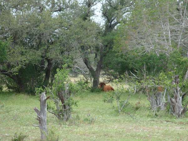 29.8 Acres of Agricultural Land with Home for Sale in Johnson City, Texas