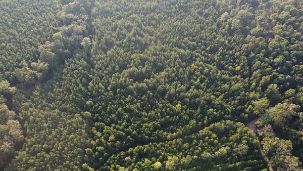 20 Acres of Recreational Land for Sale in Lacey, Arkansas