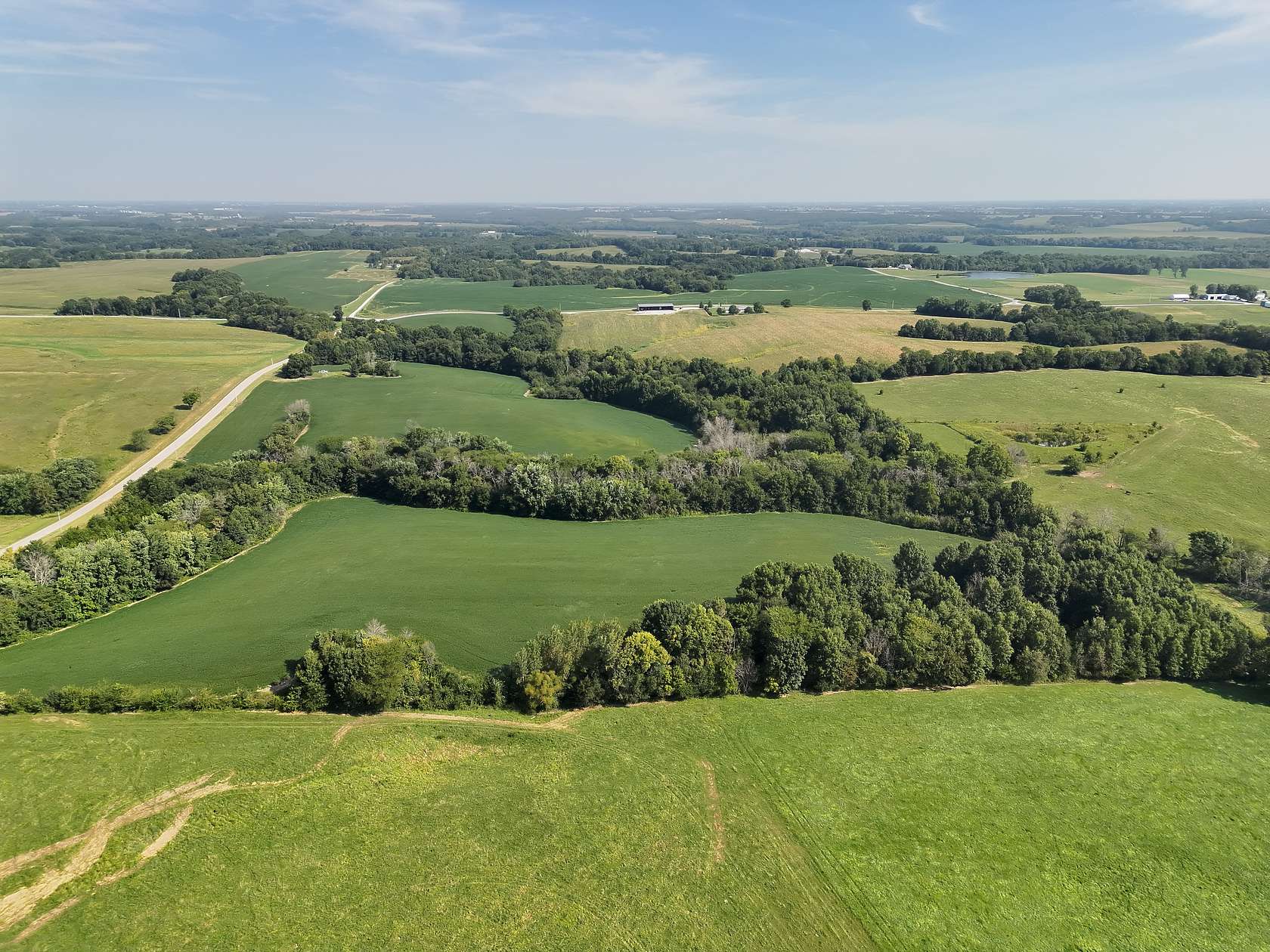 40 Acres of Land for Sale in Rutledge, Missouri