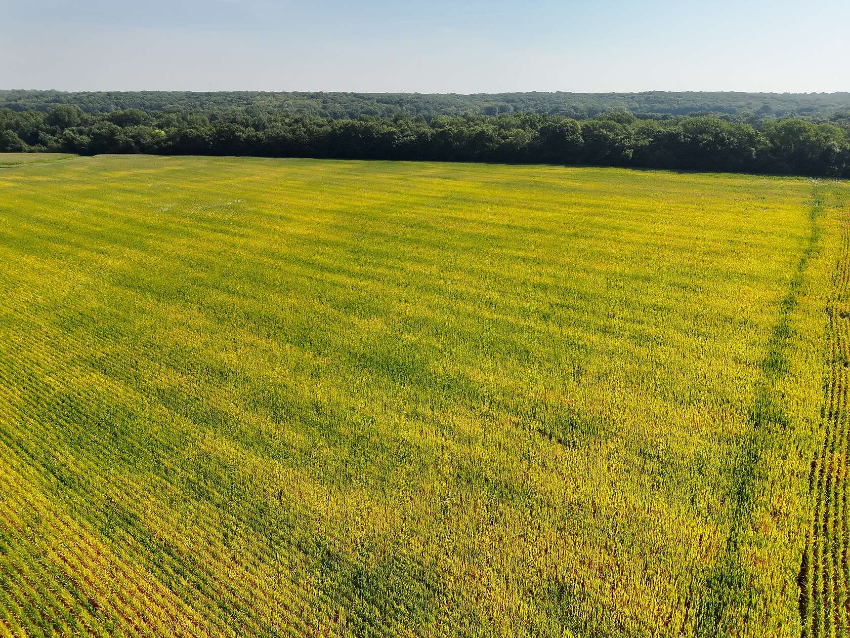 76 Acres of Land for Sale in Rutledge, Missouri