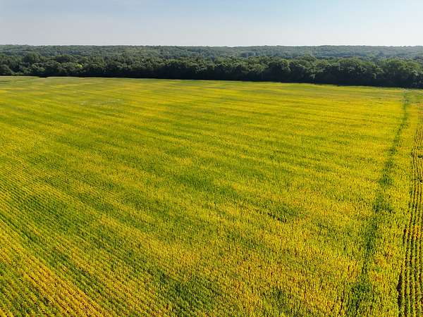 76 Acres of Land for Sale in Rutledge, Missouri