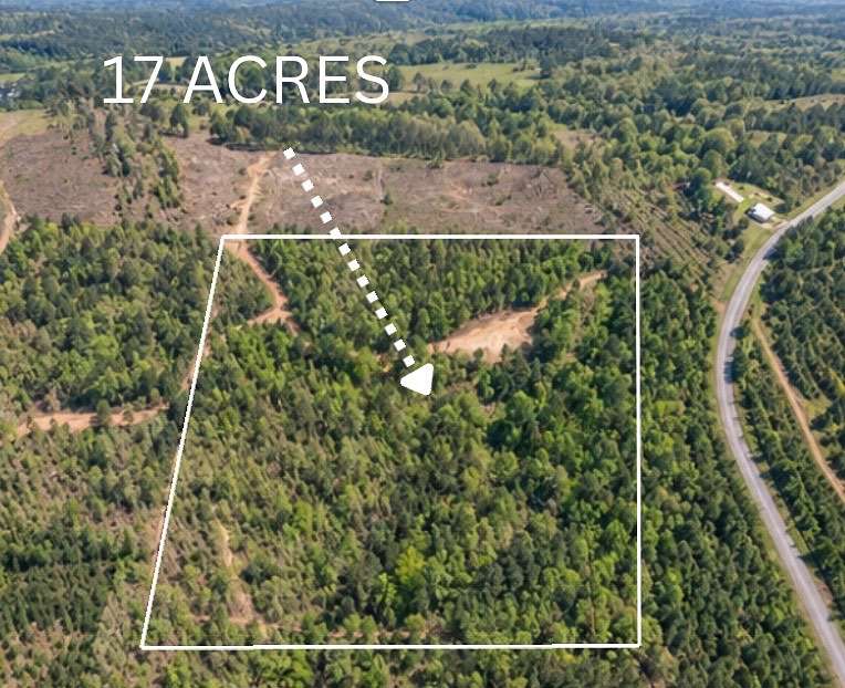 17 Acres of Recreational & Residential Land for Sale in Ashland, Alabama