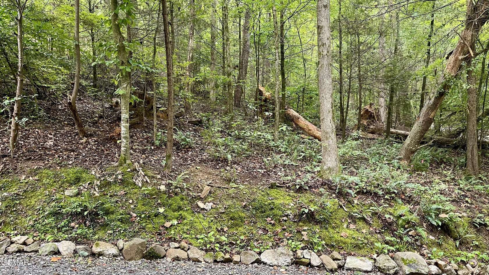 1 Acre of Residential Land for Sale in Sevierville, Tennessee