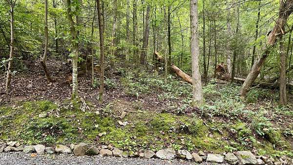 1 Acre of Residential Land for Sale in Sevierville, Tennessee