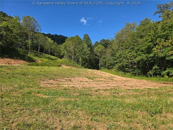 38.2 Acres of Recreational & Residential Land for Sale in Reedy, West Virginia