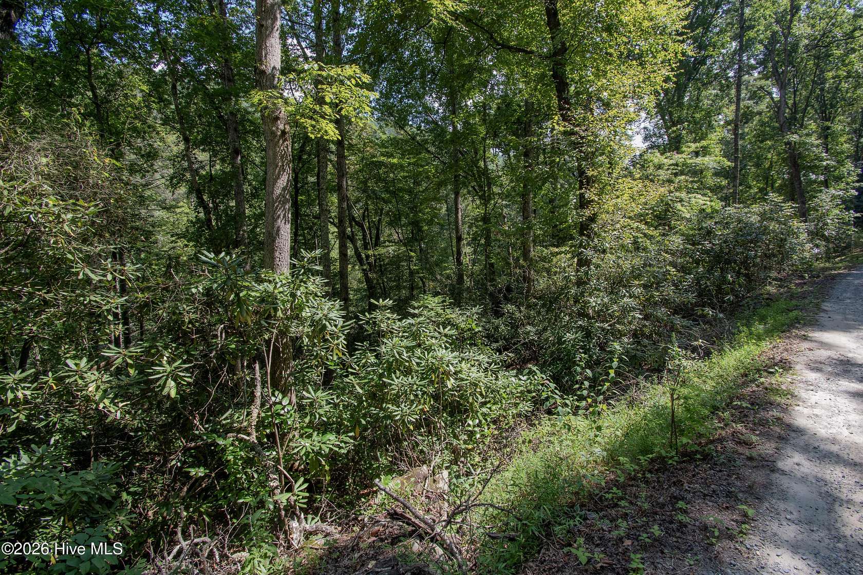 0.5 Acres of Land for Sale in Robbinsville, North Carolina