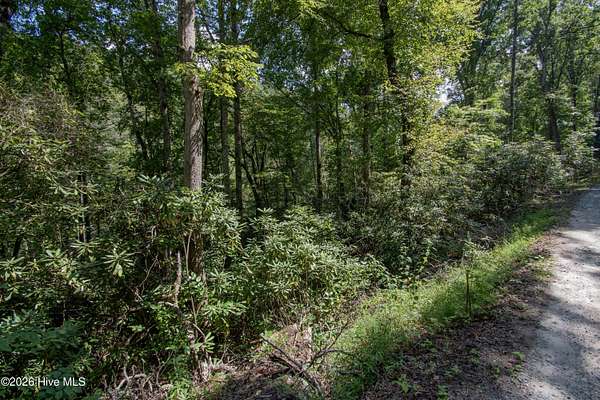 0.5 Acres of Land for Sale in Robbinsville, North Carolina