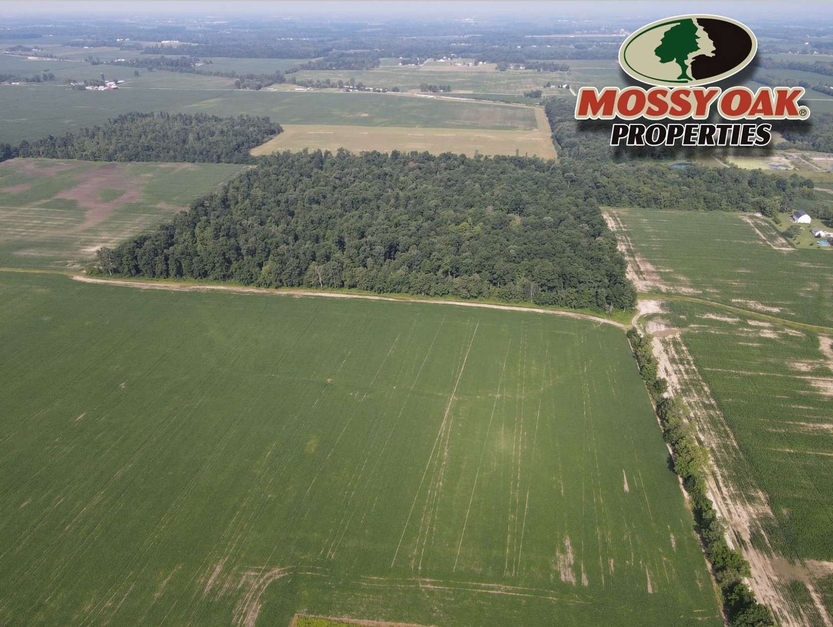 41.5 Acres of Recreational Land for Sale in Albany, Indiana