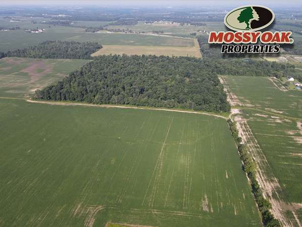41.5 Acres of Recreational Land for Sale in Albany, Indiana