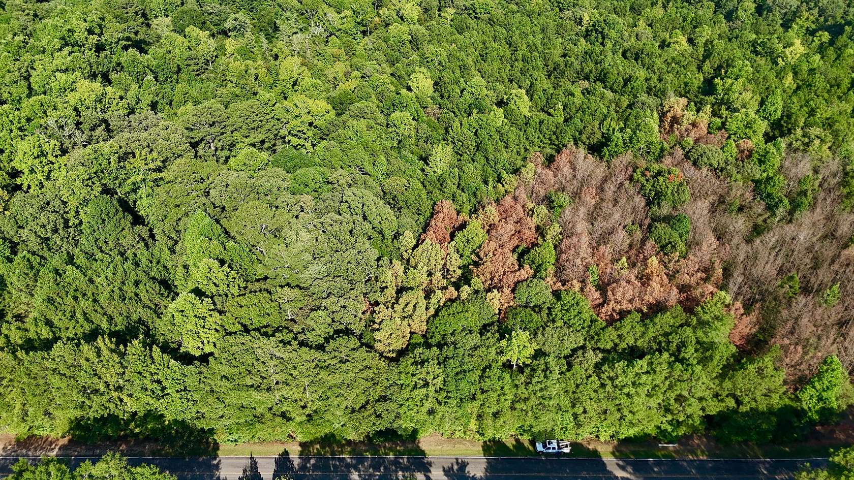 6.86 Acres of Residential Land for Sale in Winston, Georgia