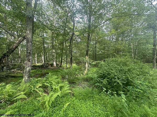0.37 Acres of Residential Land for Sale in Terra Alta, West Virginia