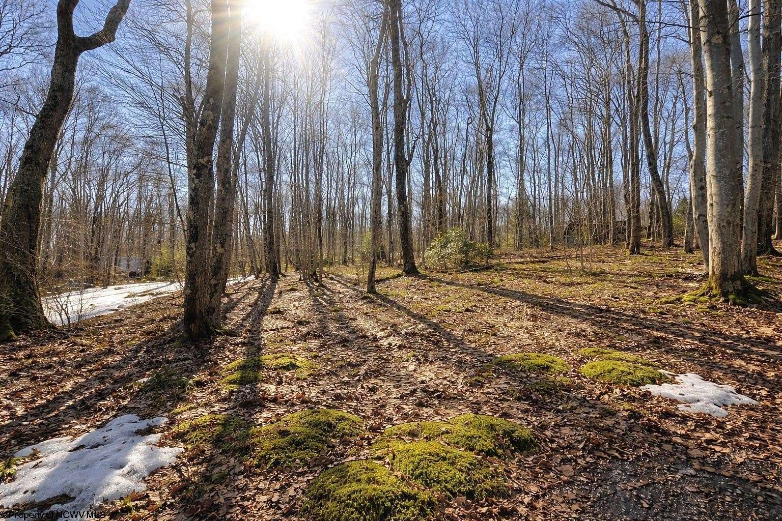 0.28 Acres of Residential Land for Sale in Terra Alta, West Virginia