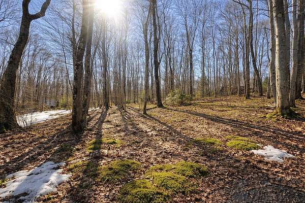0.28 Acres of Residential Land for Sale in Terra Alta, West Virginia