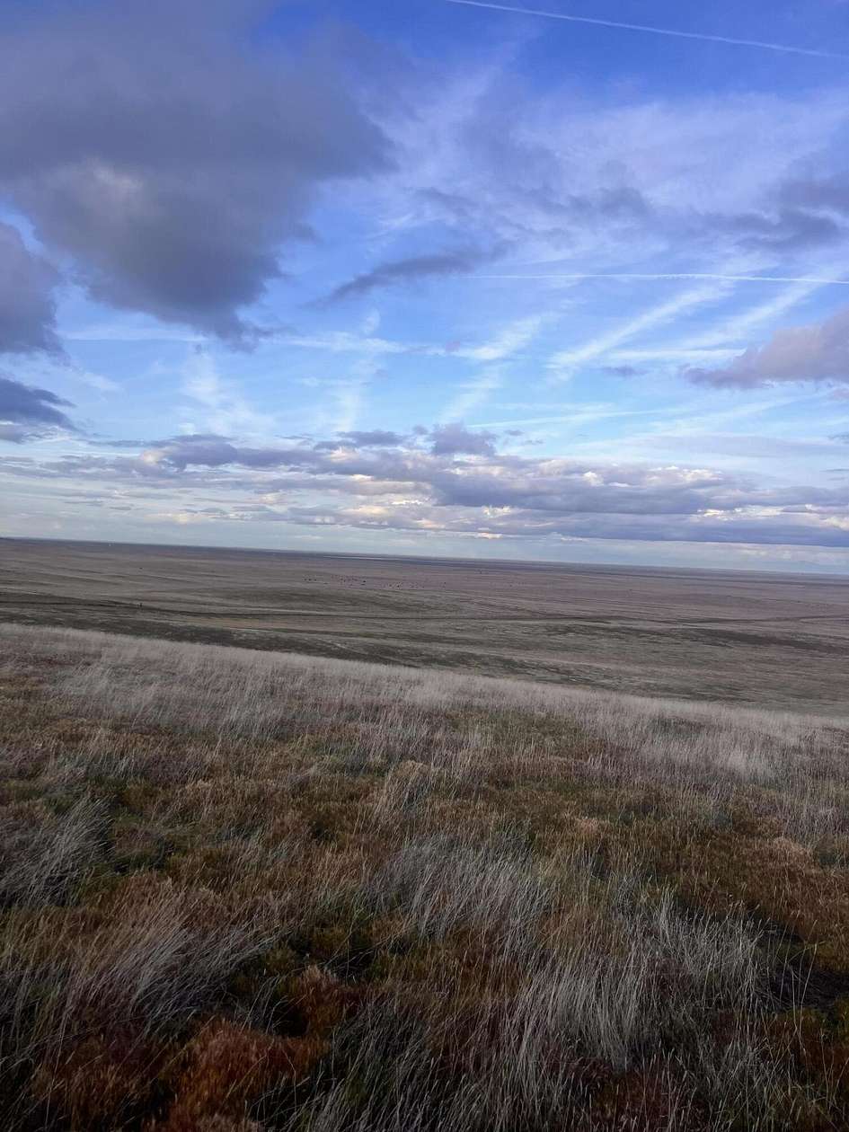 39.9 Acres of Land for Sale in Lost Hills, California