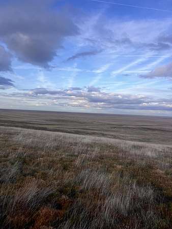 39.9 Acres of Land for Sale in Lost Hills, California