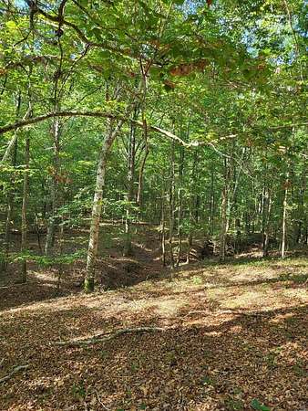 98.3 Acres of Recreational & Residential Land for Sale in San Augustine, Texas