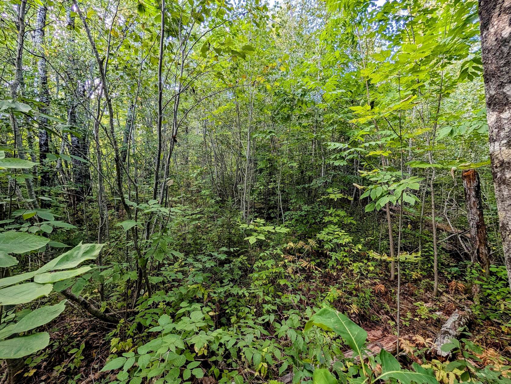 1 Acre of Residential Land for Sale in Frankfort, Maine