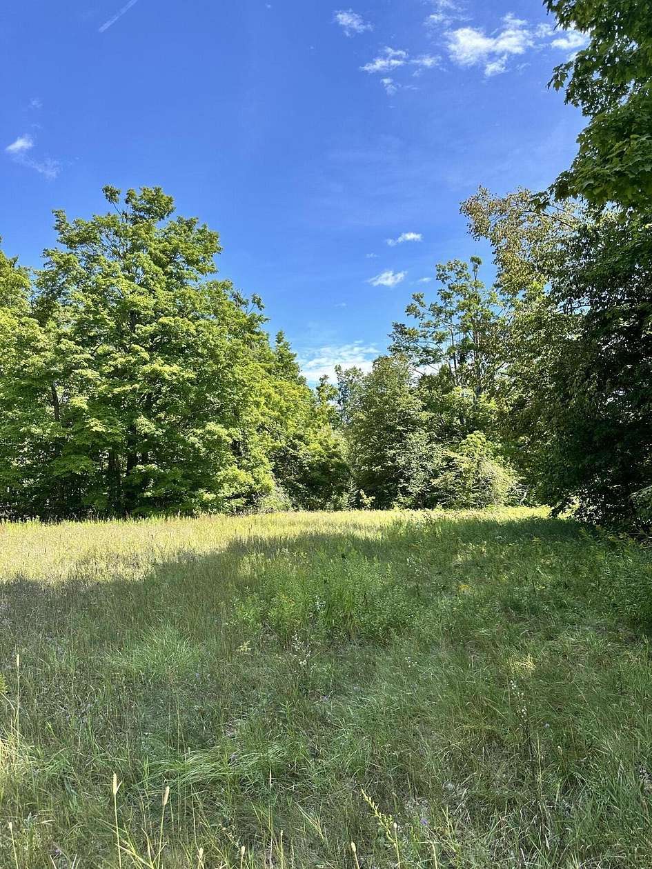 10.5 Acres of Recreational Land for Sale in Johannesburg, Michigan