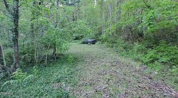 3.56 Acres of Residential Land for Sale in Elizabethton, Tennessee