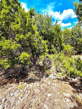 1.49 Acres of Land for Sale in Fischer, Texas