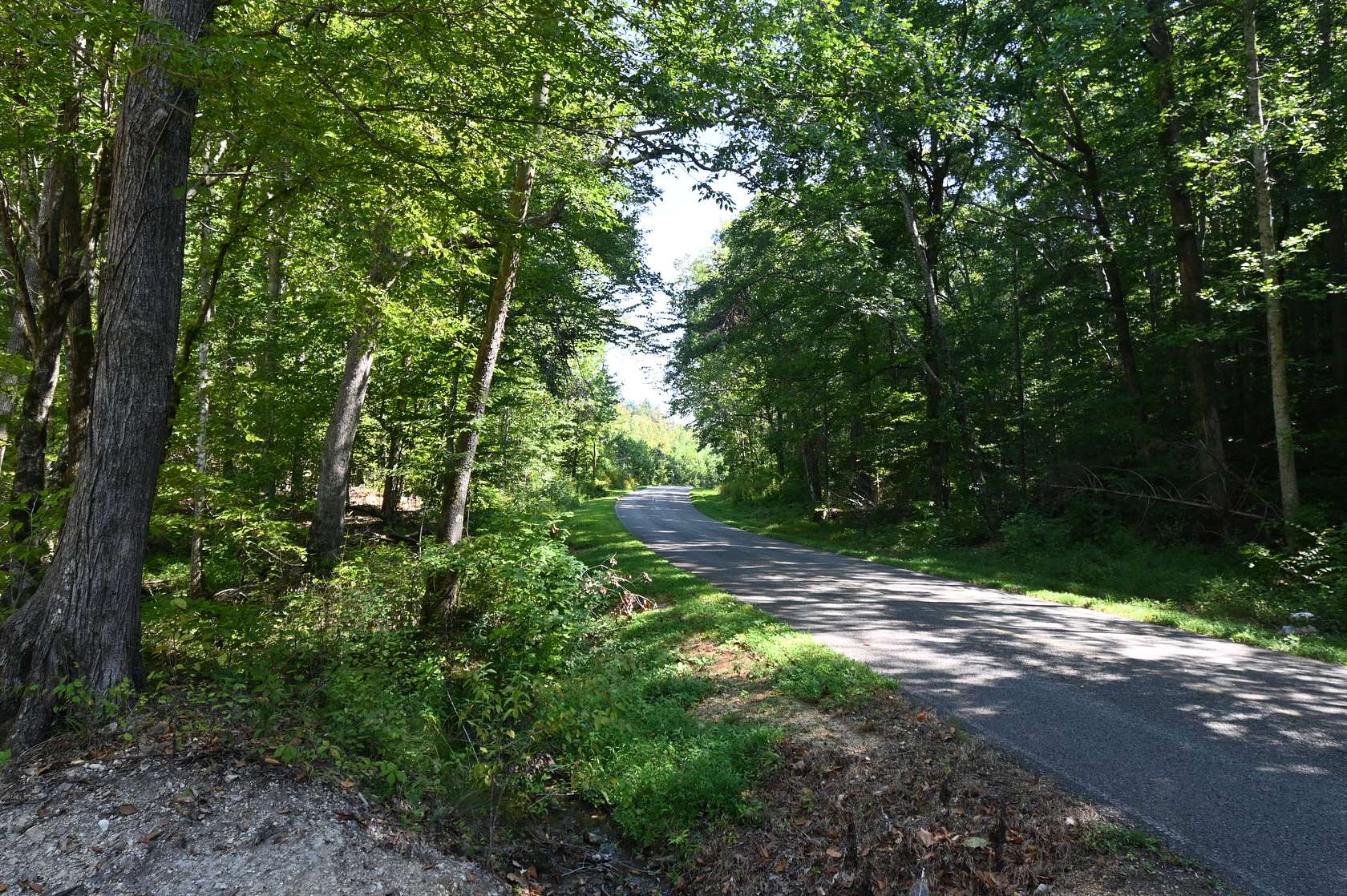 13 Acres of Land for Sale in Linden, Tennessee