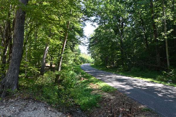 13 Acres of Land for Sale in Linden, Tennessee