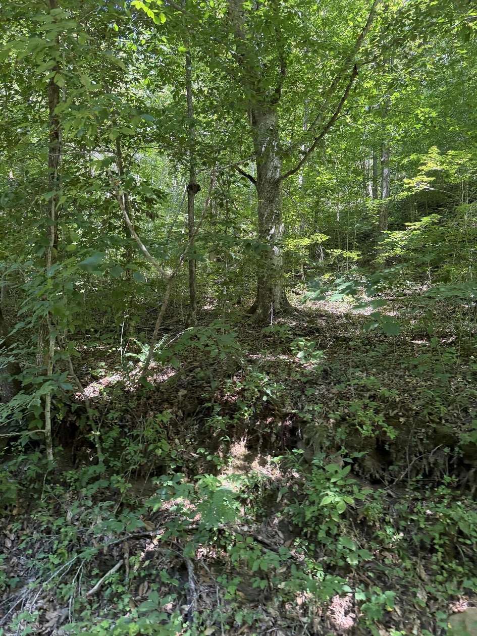 371 Acres of Recreational Land for Sale in Walker, Kentucky