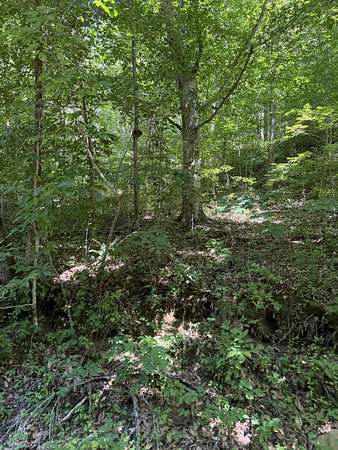 371 Acres of Recreational Land for Sale in Walker, Kentucky