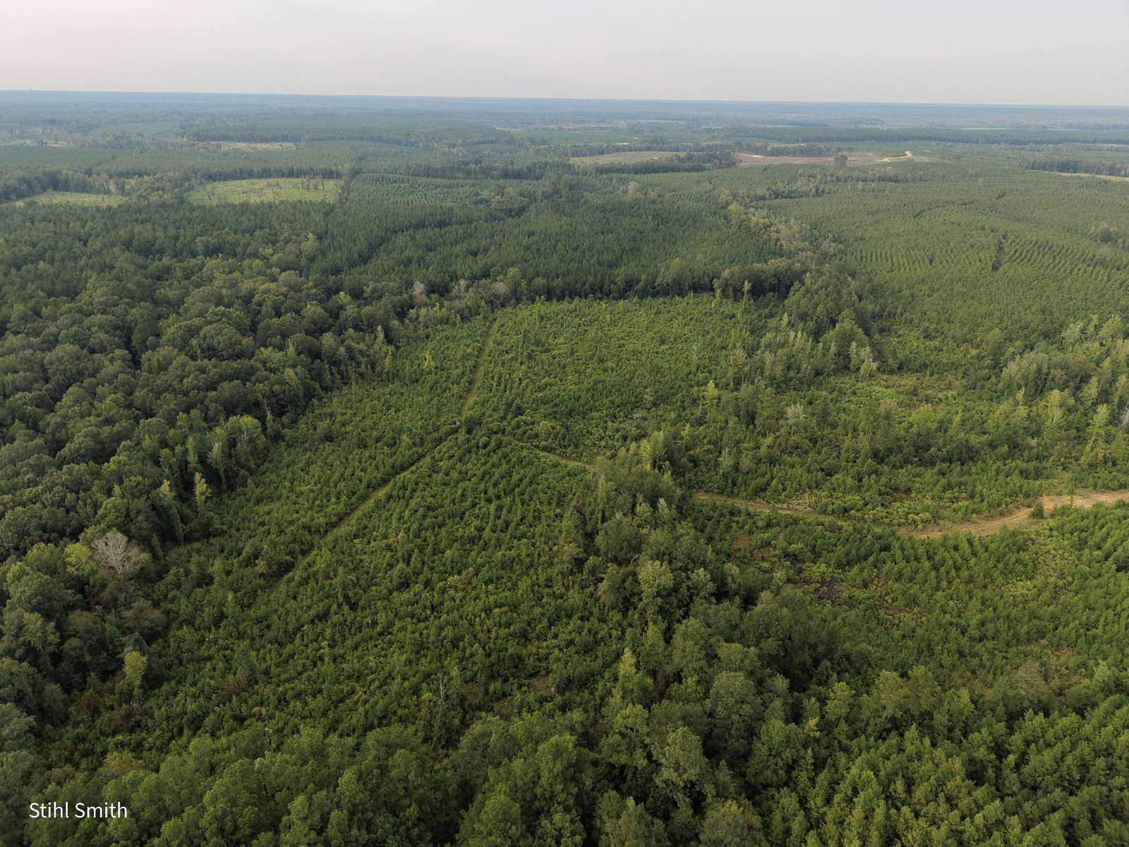 40 Acres of Recreational Land for Sale in Sikes, Louisiana