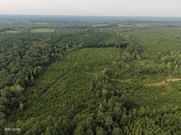 40 Acres of Recreational Land for Sale in Sikes, Louisiana
