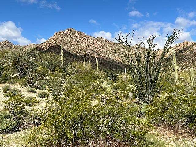 128 Acres of Recreational & Residential Land for Sale in Ajo, Arizona
