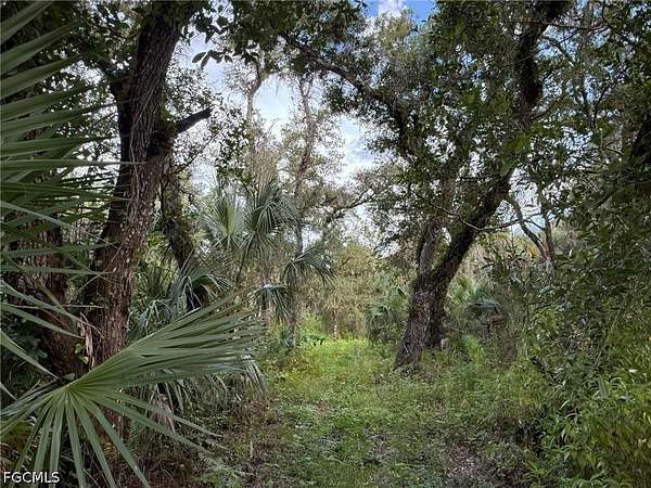 7.5 Acres of Land for Sale in Immokalee, Florida