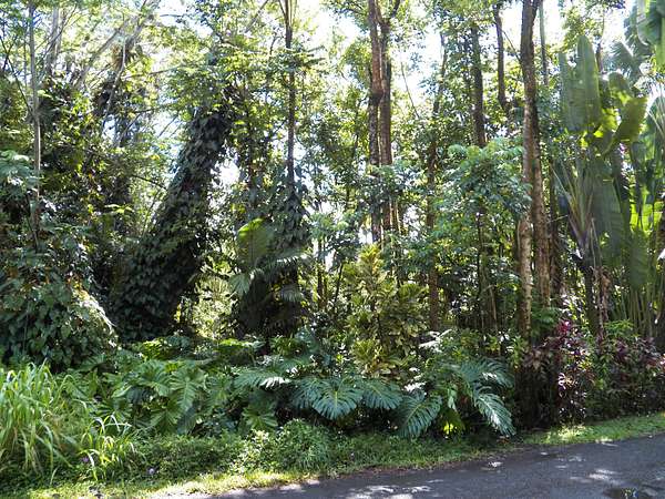 1 Acre of Residential Land for Sale in Keaau, Hawaii