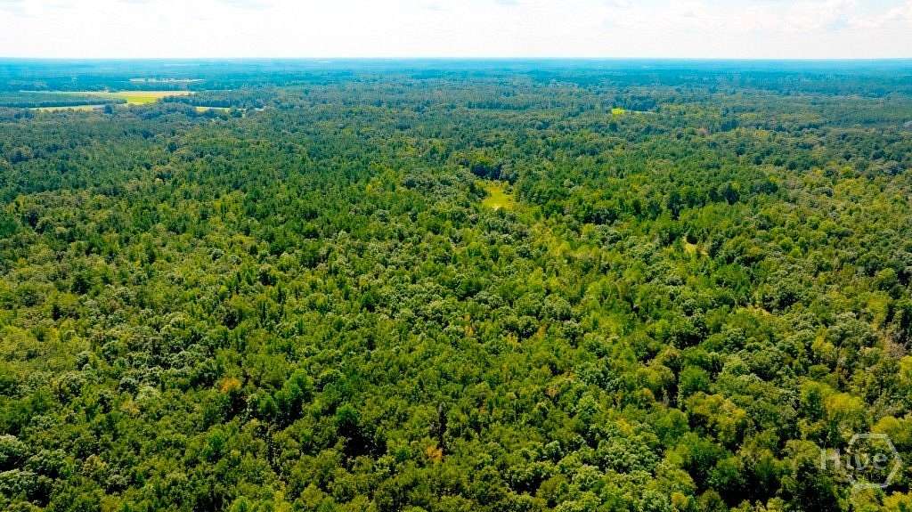 242 Acres of Land for Sale in Waynesboro, Georgia