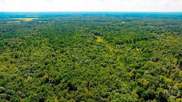 242 Acres of Land for Sale in Waynesboro, Georgia